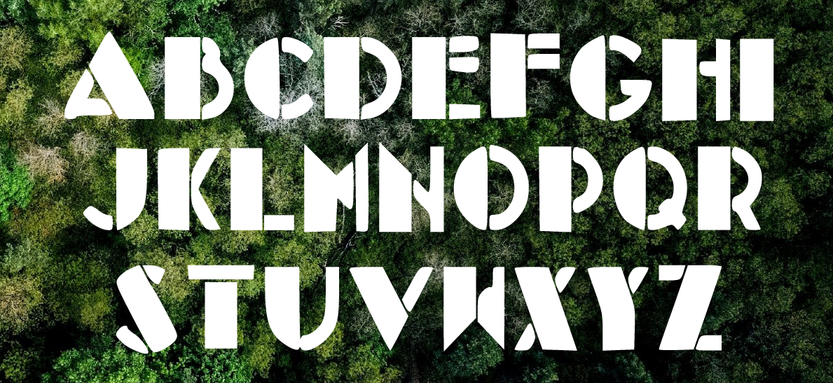 Projeto 1 - Imagem 2